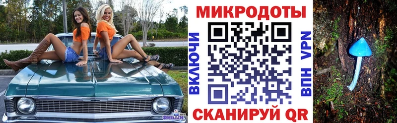 купить  сайты  Якутск  дарк нет состав  Галлюциногенные грибы Psilocybe 